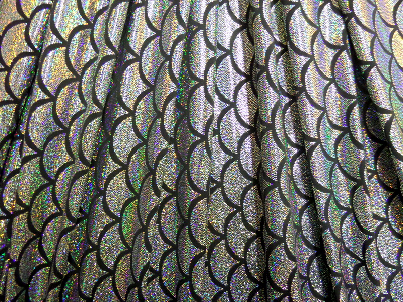 2.Silver Fish Scale Hologram